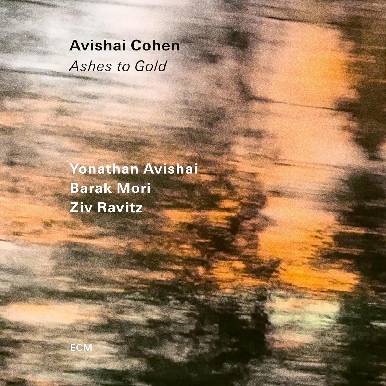 Ashes to Gold | Avishai Cohen