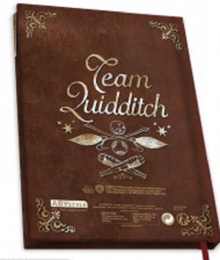 Carnet - Harry Potter - Quidditch | AbyStyle