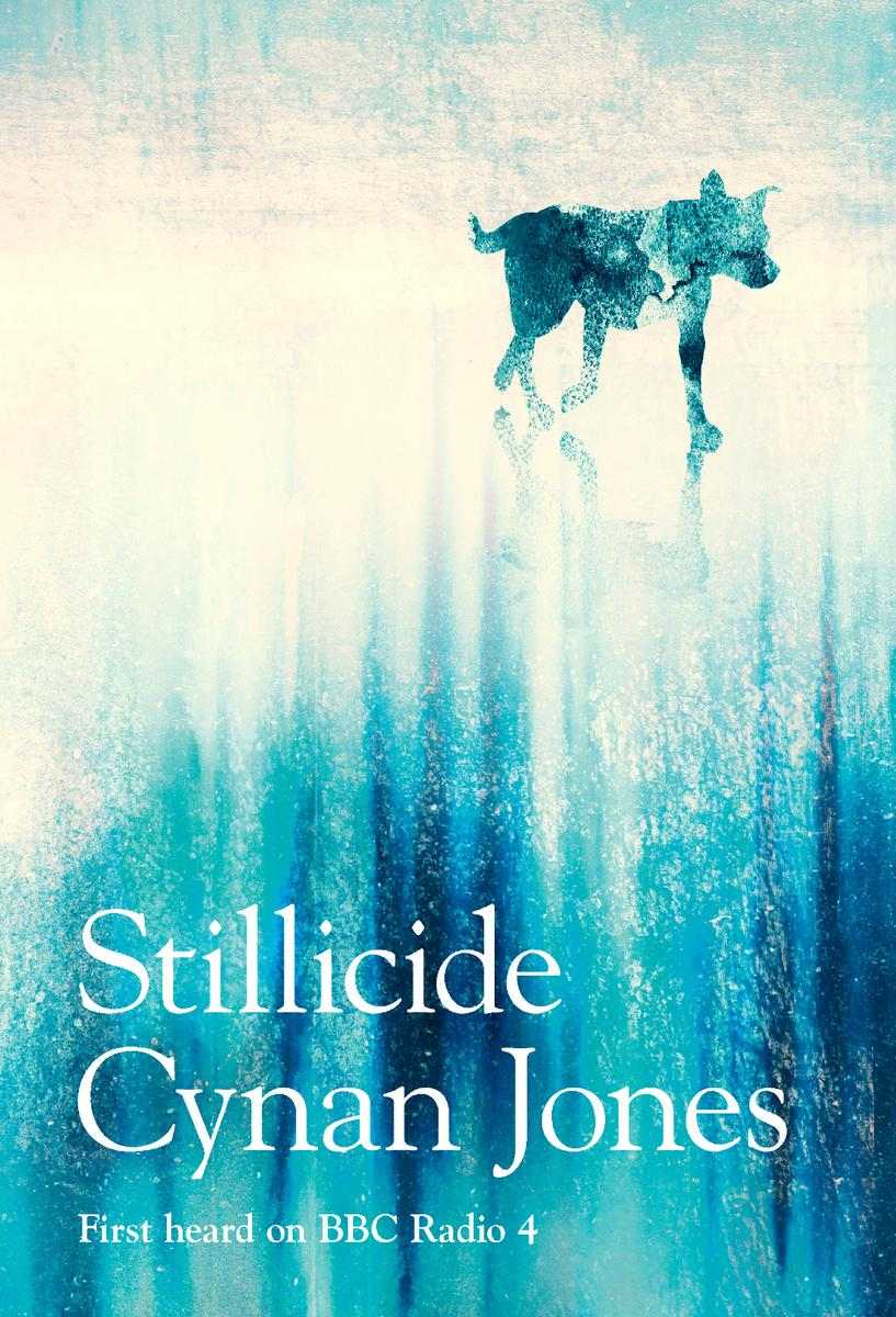 Stillicide | Cynan Jones