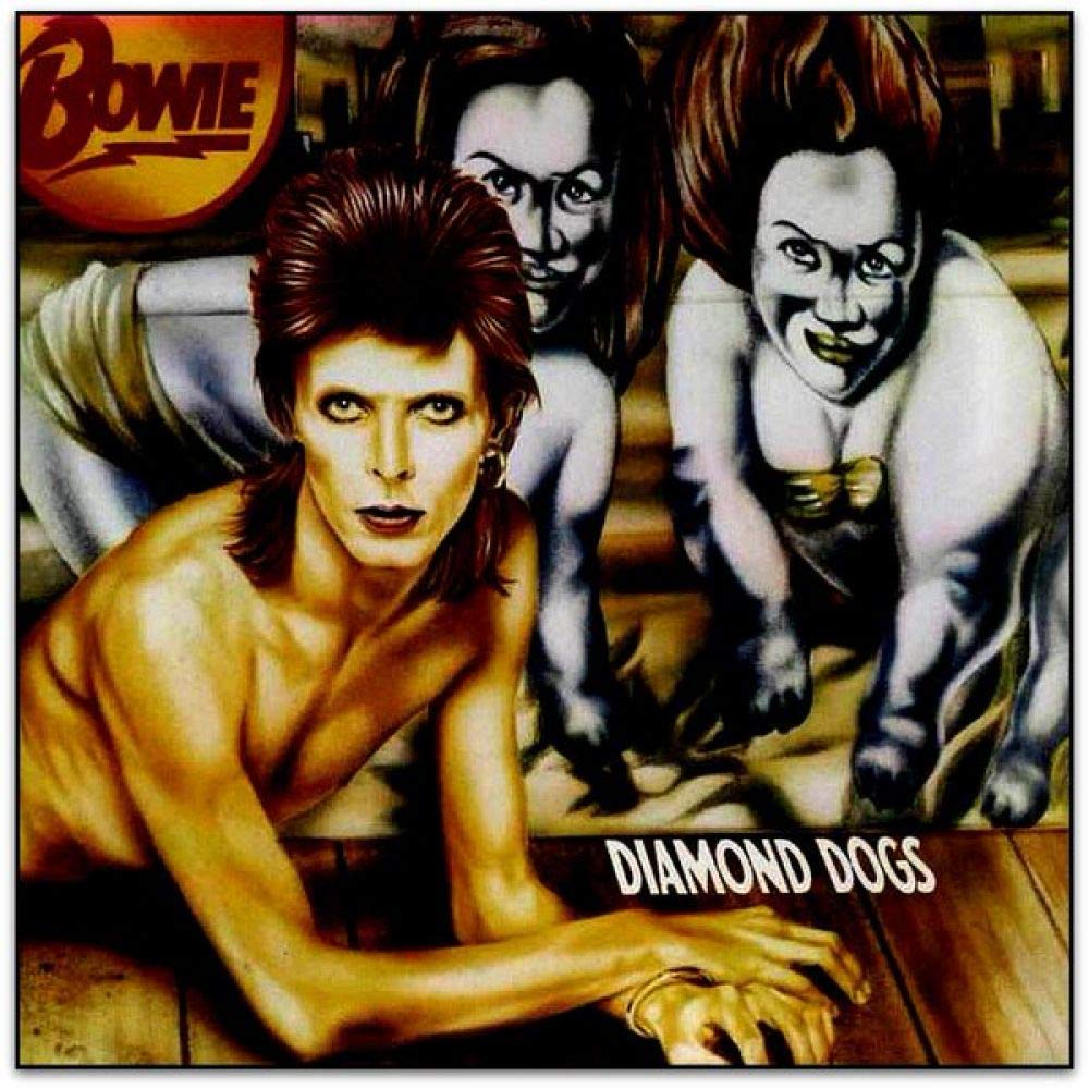 Diamond Dogs - Vinyl | David Bowie