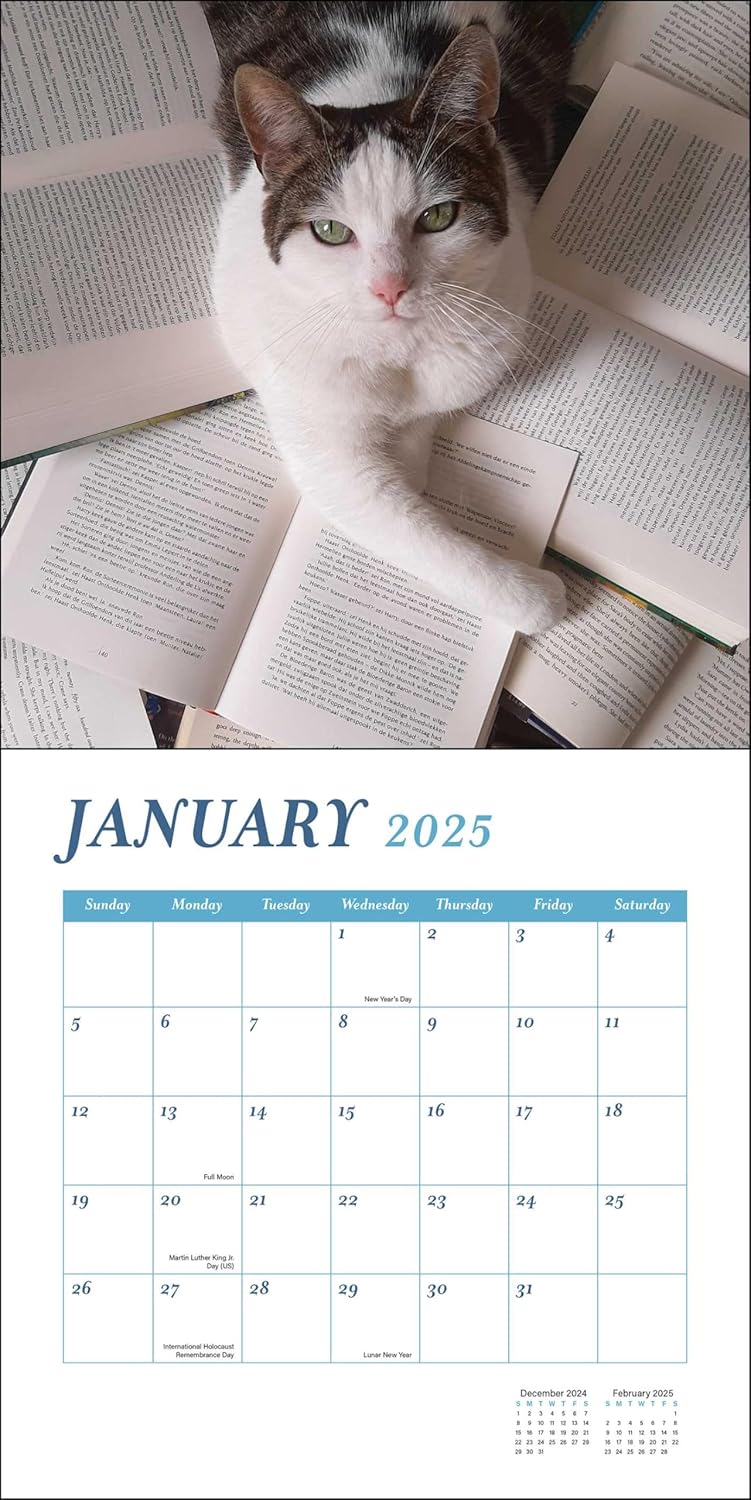 Calendar 2025 - Cats & Books | Rizzoli Universe - 1 | YEO