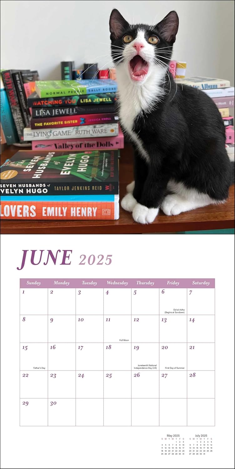 Calendar 2025 - Cats & Books | Rizzoli Universe - 2 | YEO