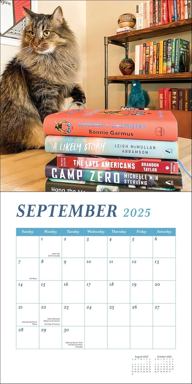 Calendar 2025 - Cats & Books | Rizzoli Universe - 3 | YEO