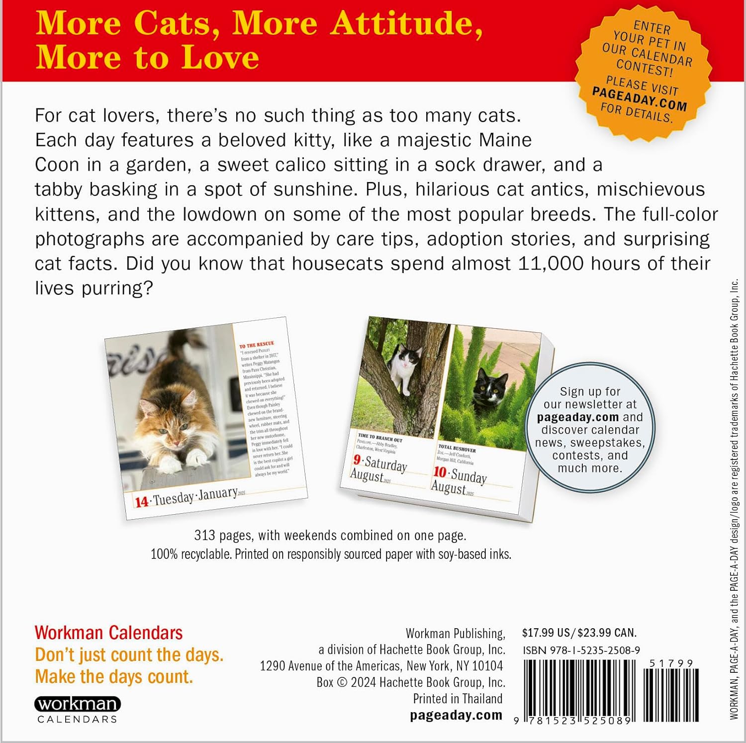 Calendar 2025 - The World\'s Favourite Cat Calendar - 365 Cats | Workman Publishing