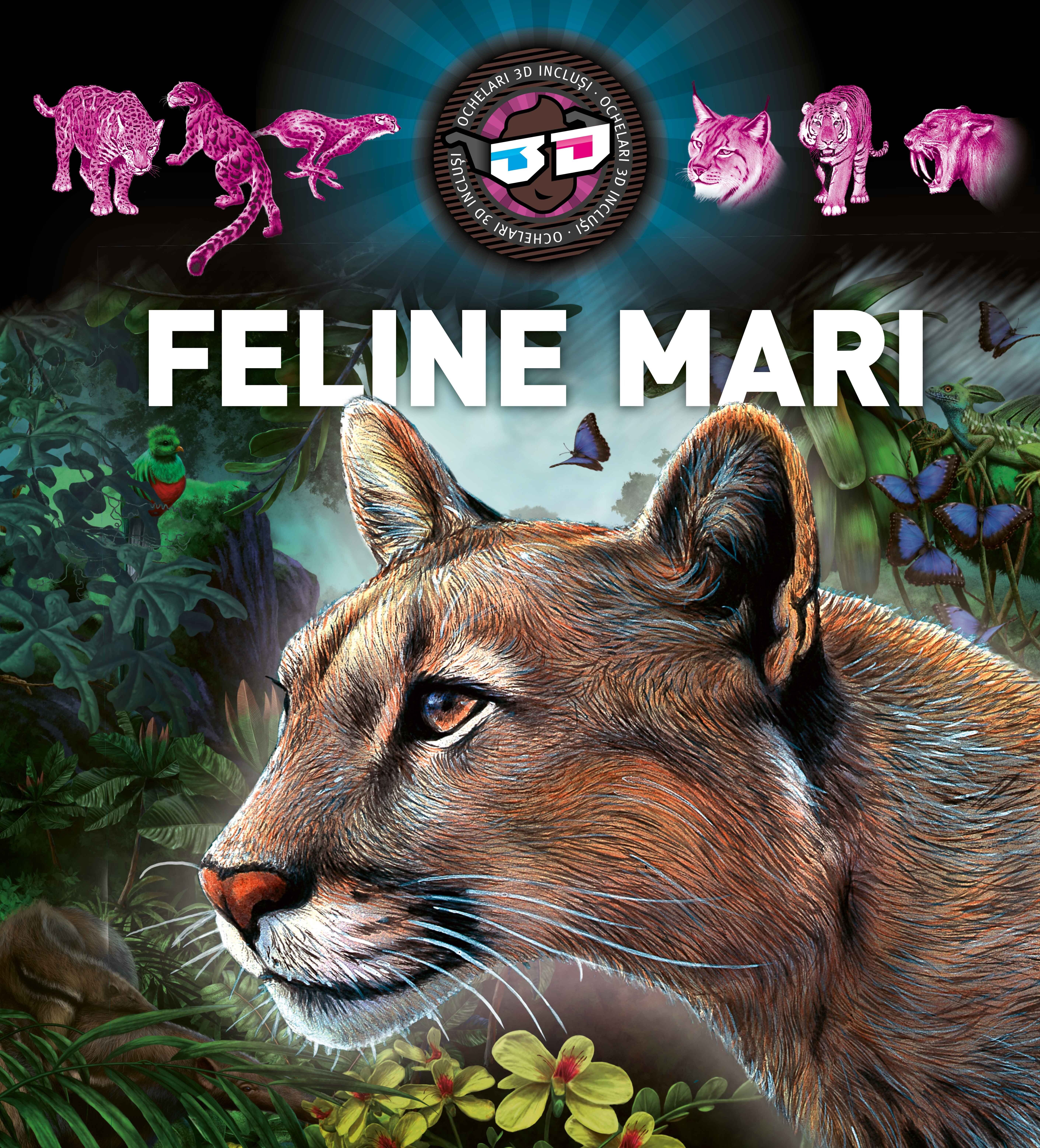 Feline mari |