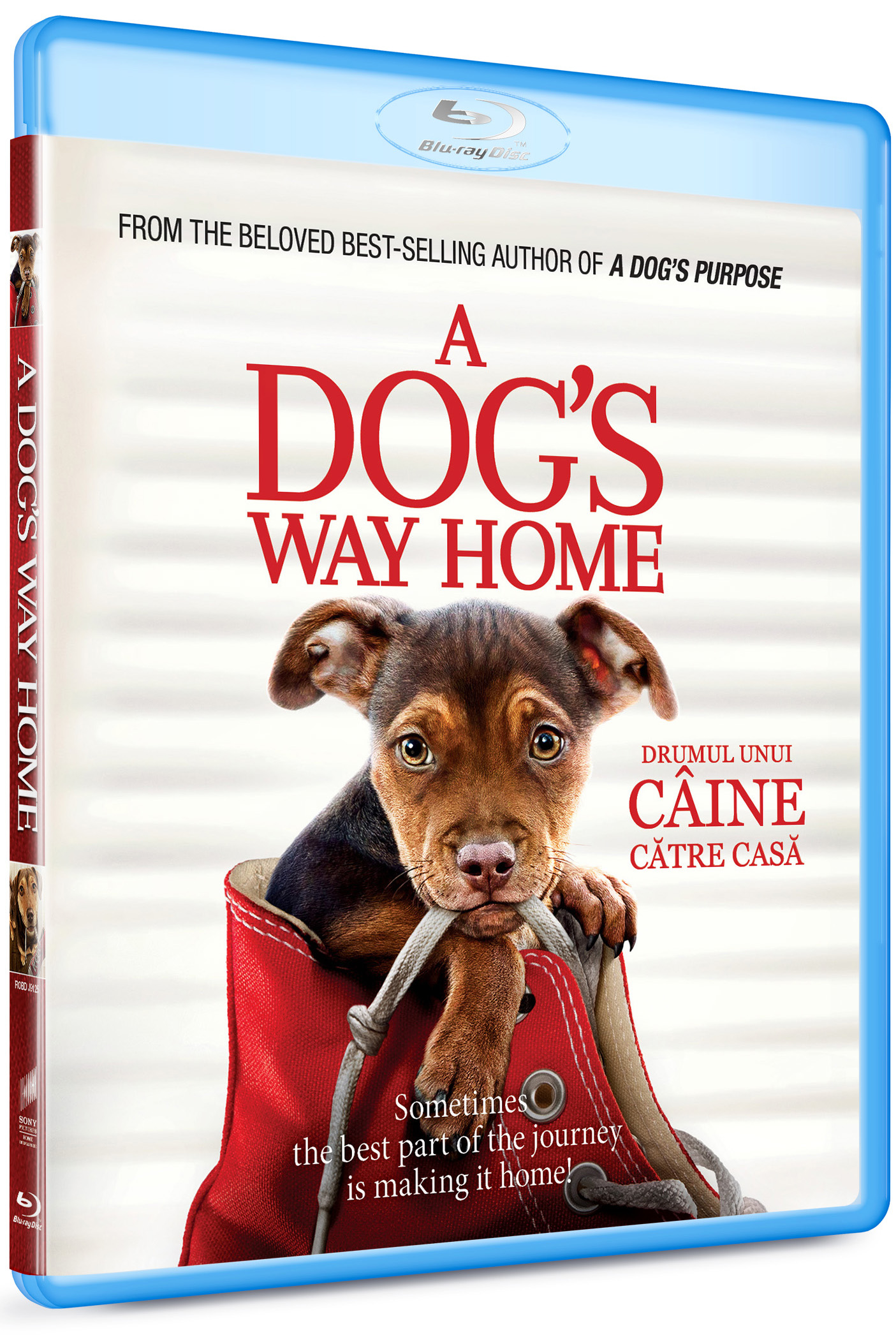 Drumul unui caine catre casa / A Dog's Way Home (Blu-Ray Disc) | Charles Martin Smith