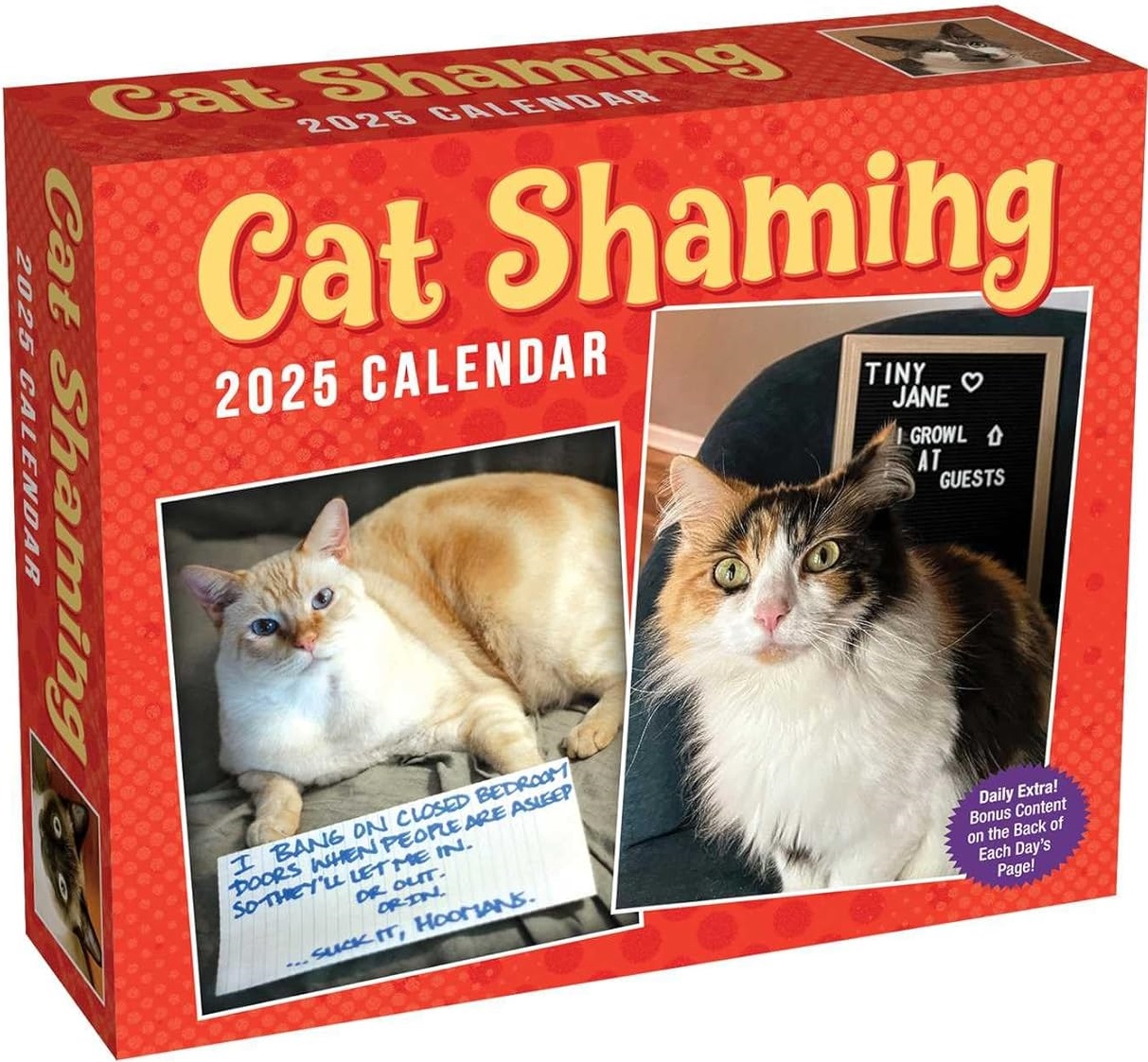 Calendar 2025 - Cat Shaming | Andrews McMeel Publishing - 4 | YEO