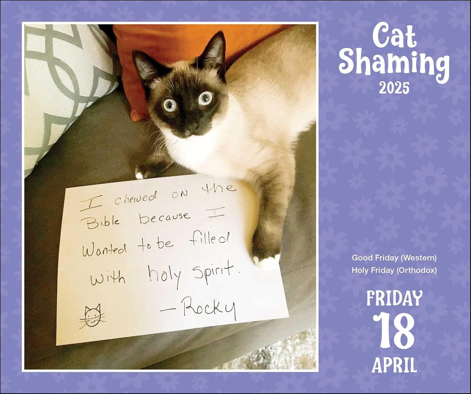 Calendar 2025 - Cat Shaming | Andrews McMeel Publishing - 2 | YEO