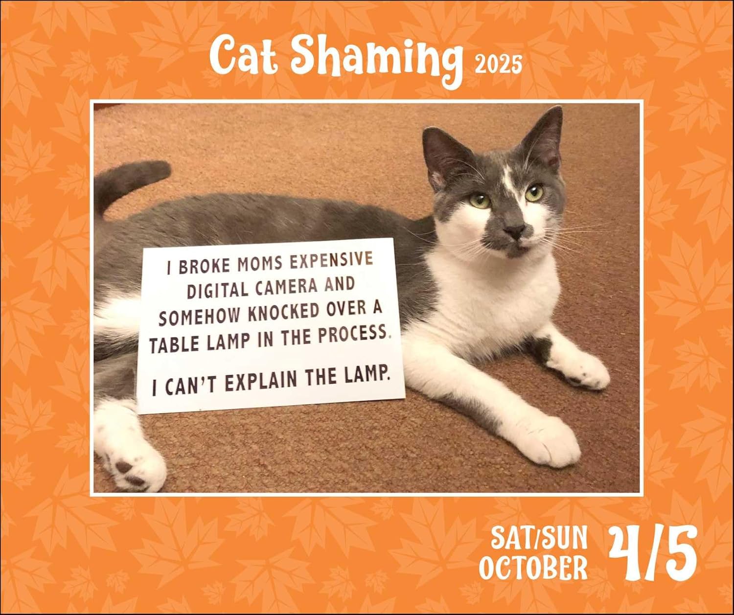 Calendar 2025 - Cat Shaming | Andrews McMeel Publishing - 3 | YEO