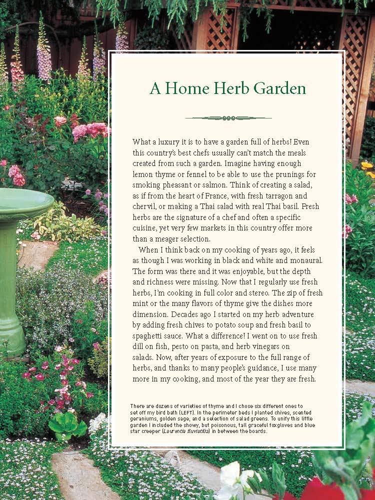 Kitchen Herb Garden | Rosalind Creasy - 5 | YEO