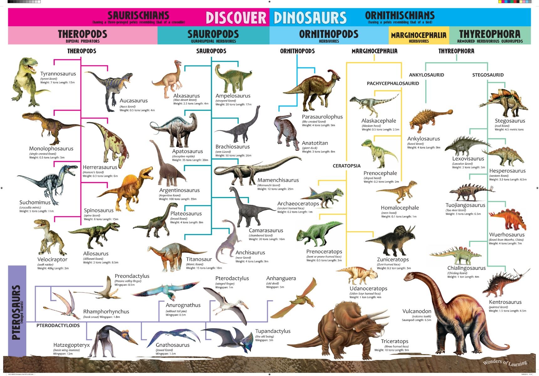 найти картинку где написано названия динозавра