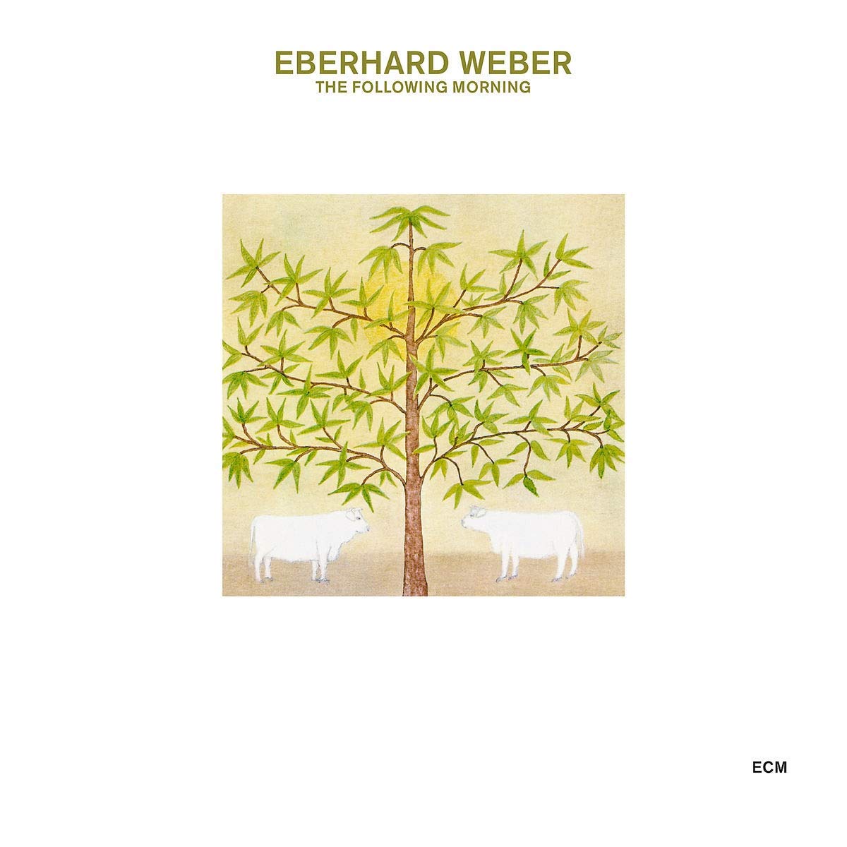 The Following Morning | Eberhard Weber