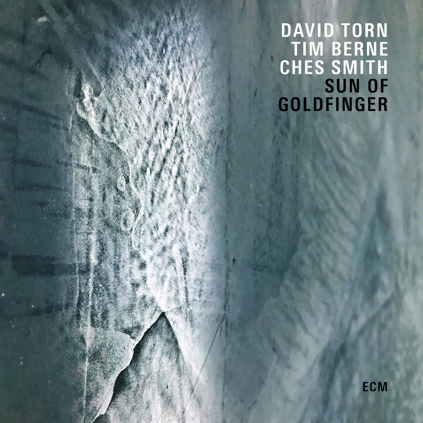 Sun Of Goldfinger | David Torn, Tim Berne, Ches Smith ‎