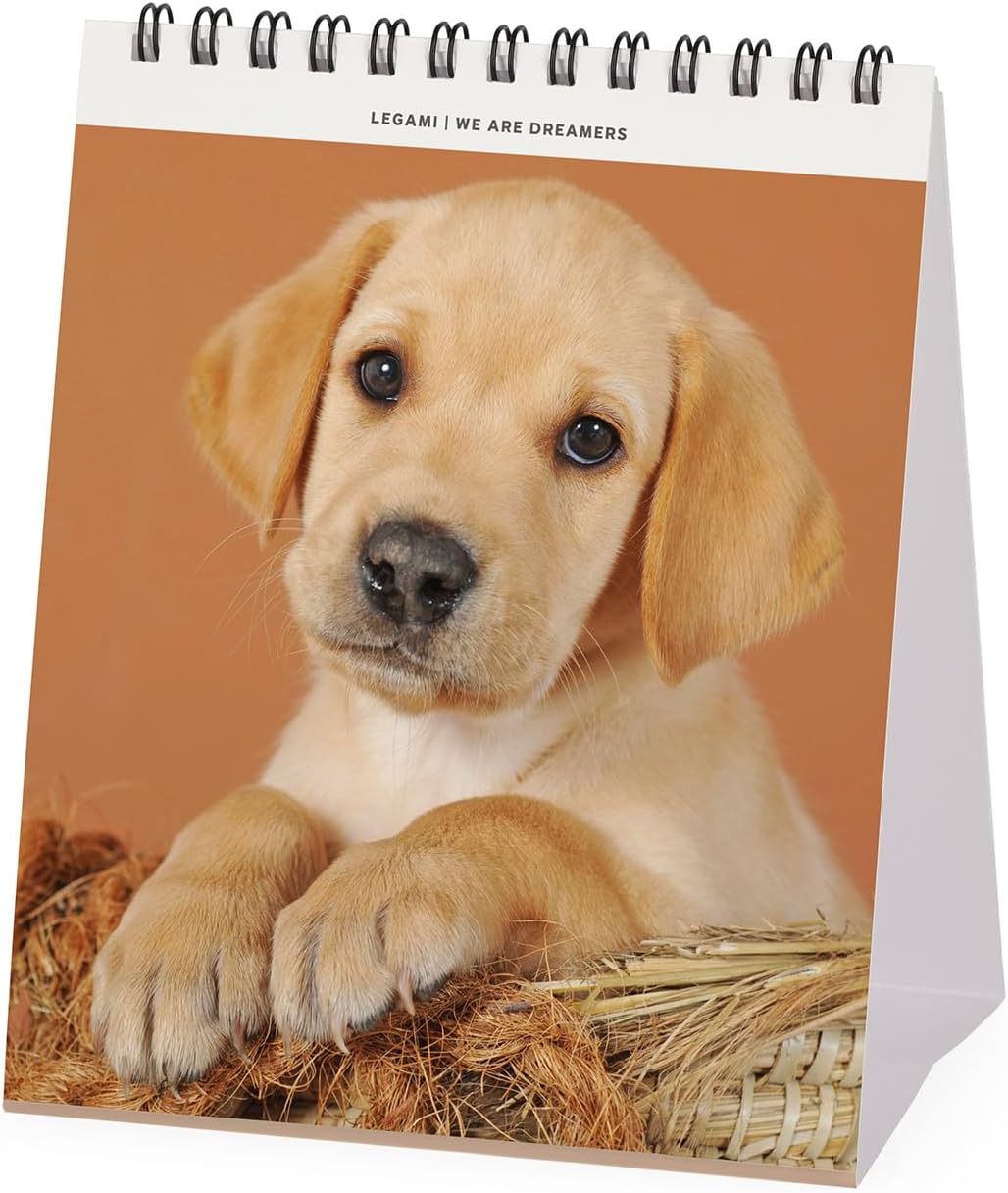 Calendar de birou 2025 - Puppies | Legami