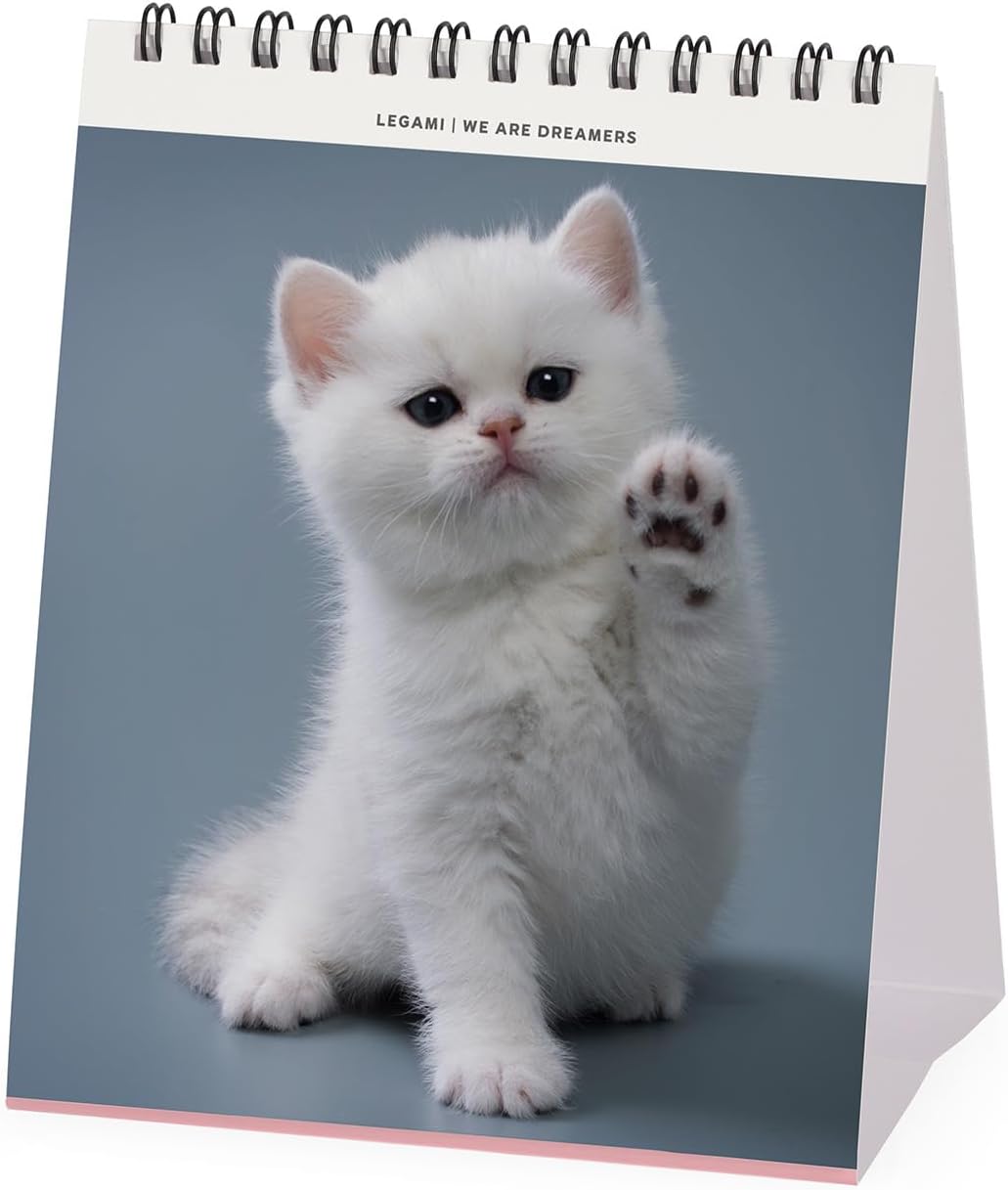 Calendar de birou 2025 - Kittens | Legami