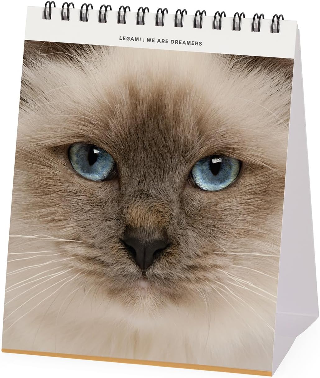 Calendar de birou 2025 - Cats | Legami