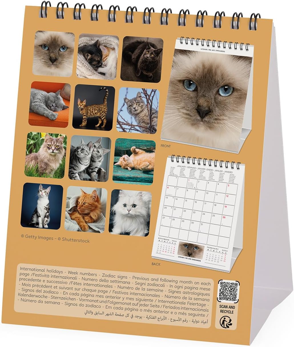 Calendar de birou 2025 - Cats | Legami - 2 | YEO