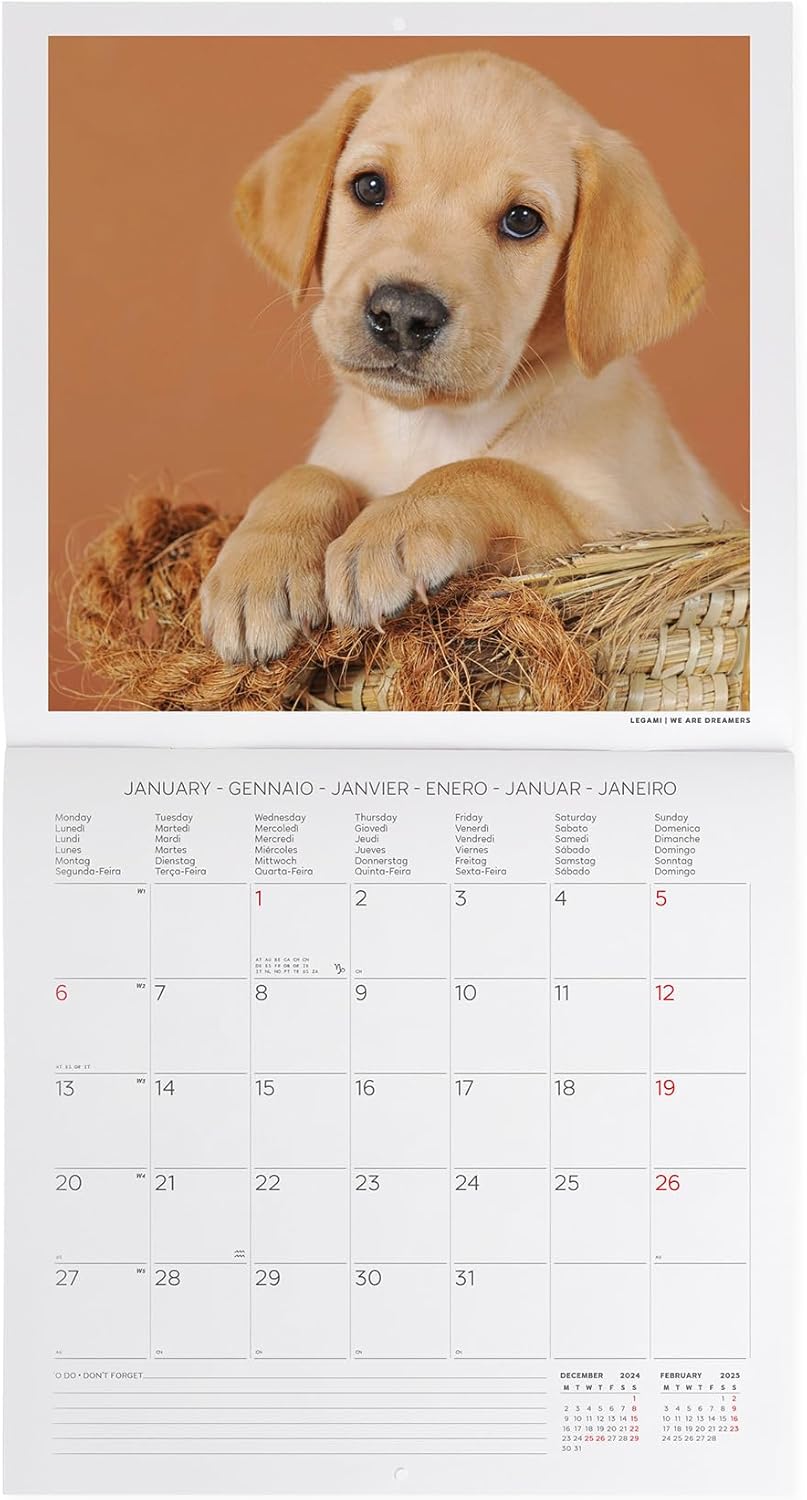 Calendar 2025 - Puppies | Legami