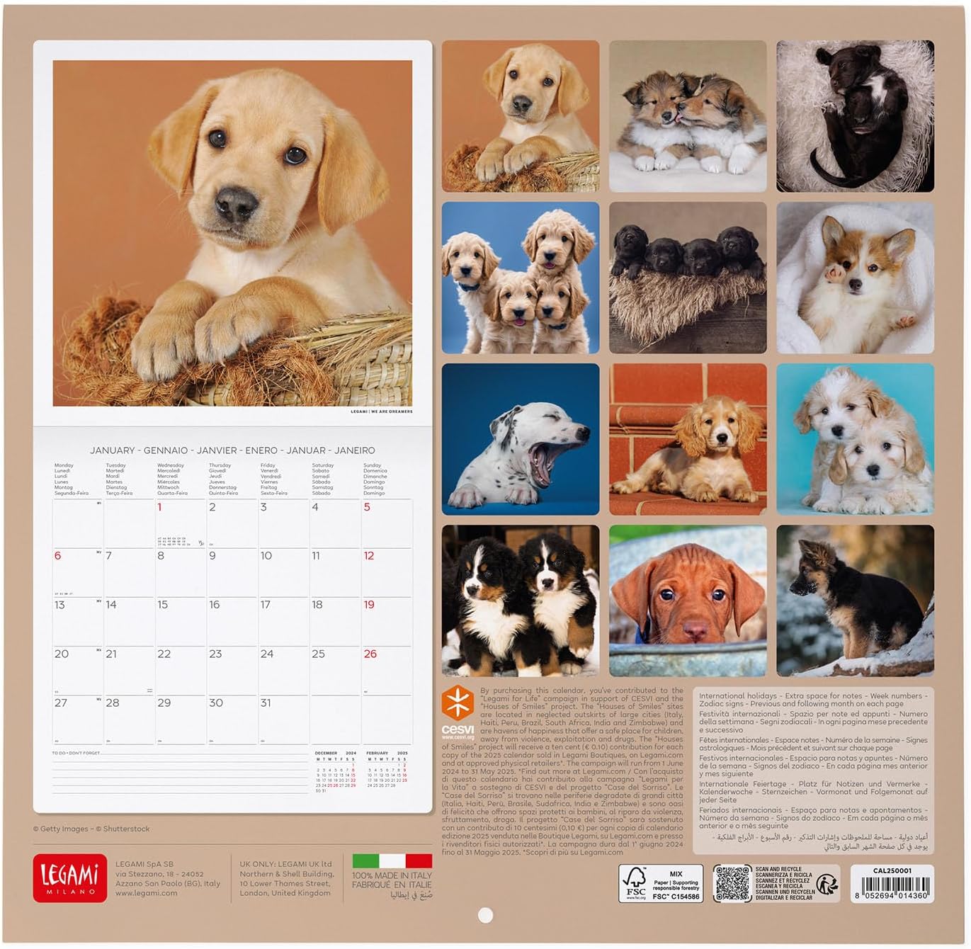 Calendar 2025 - Puppies | Legami - 1 | YEO