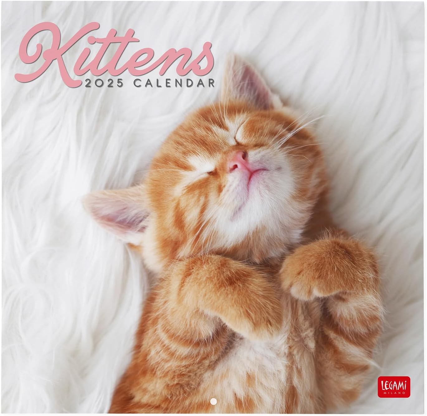 Calendar de perete 2025 - Kittens | Legami - 2 | YEO