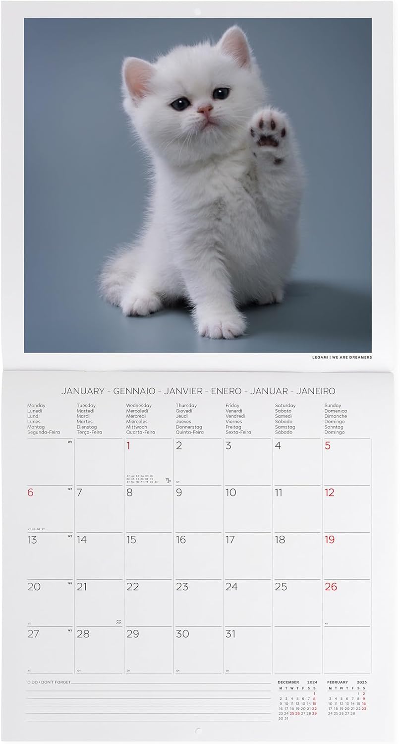 Calendar de perete 2025 - Kittens | Legami