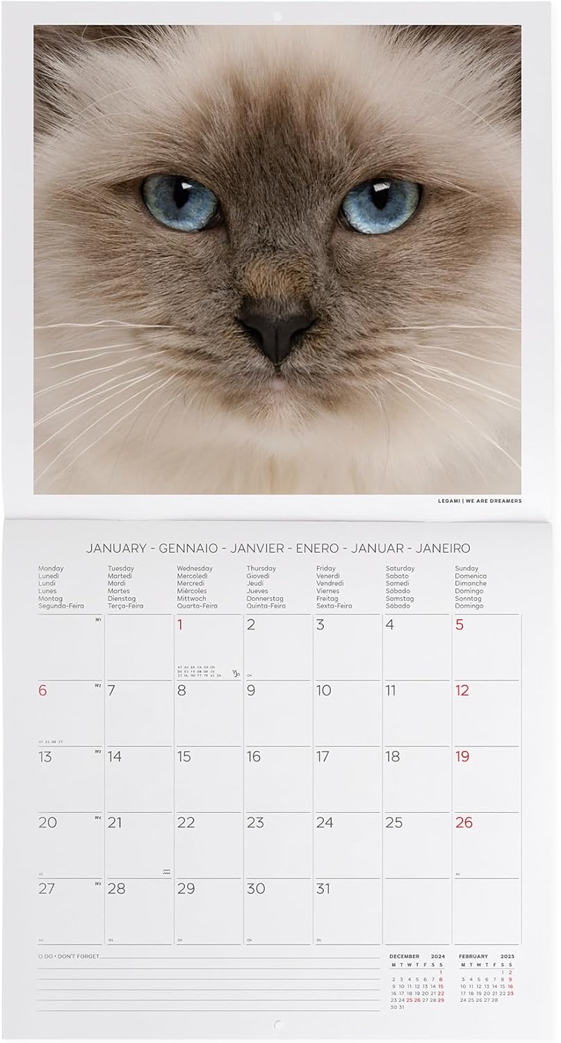 Calendar 2025 - Cats | Legami