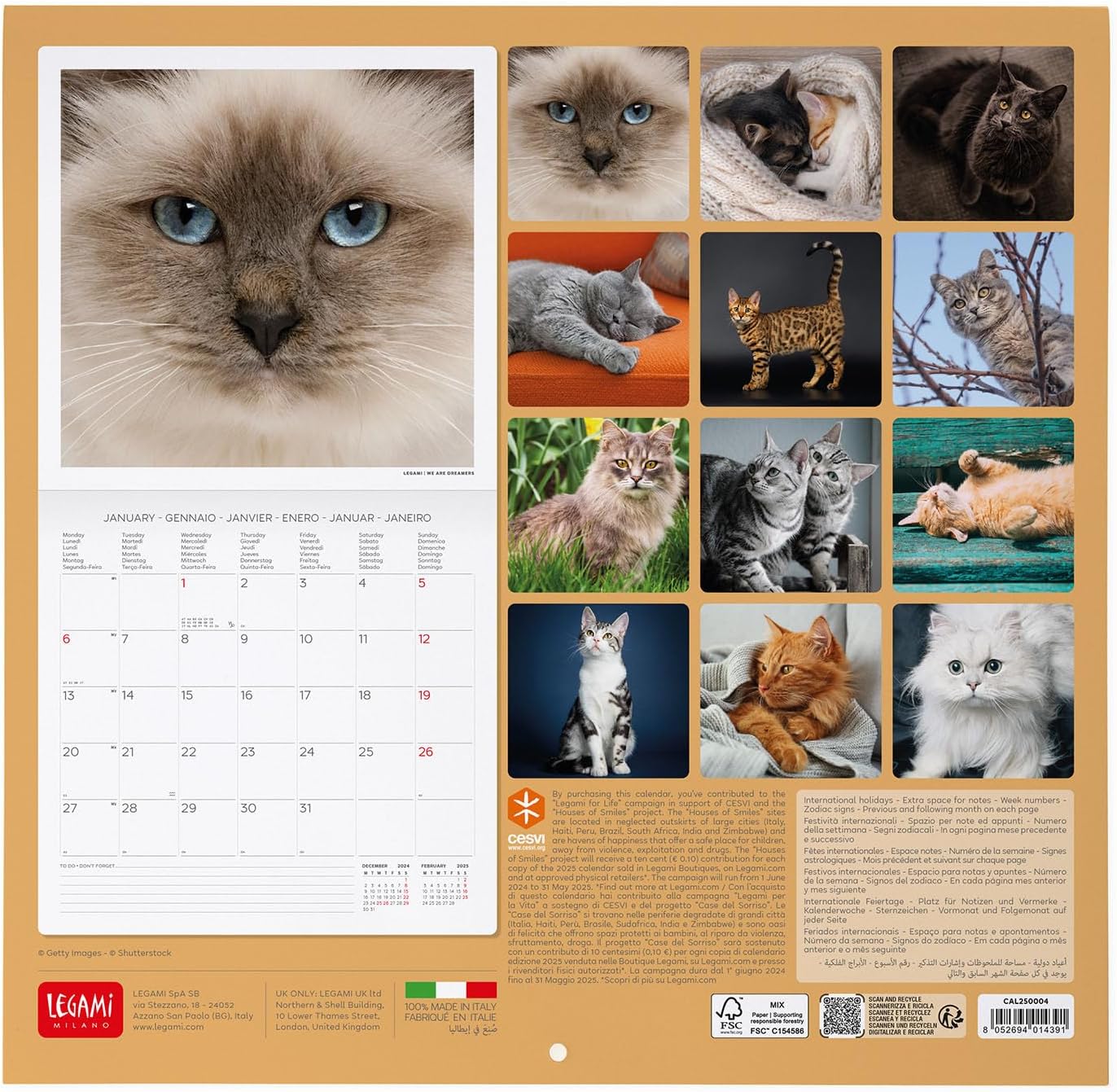 Calendar 2025 - Cats | Legami - 1 | YEO