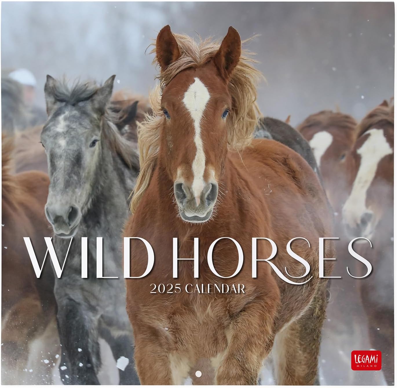 Calendar 2025 - Wild Horses | Legami - 2 | YEO