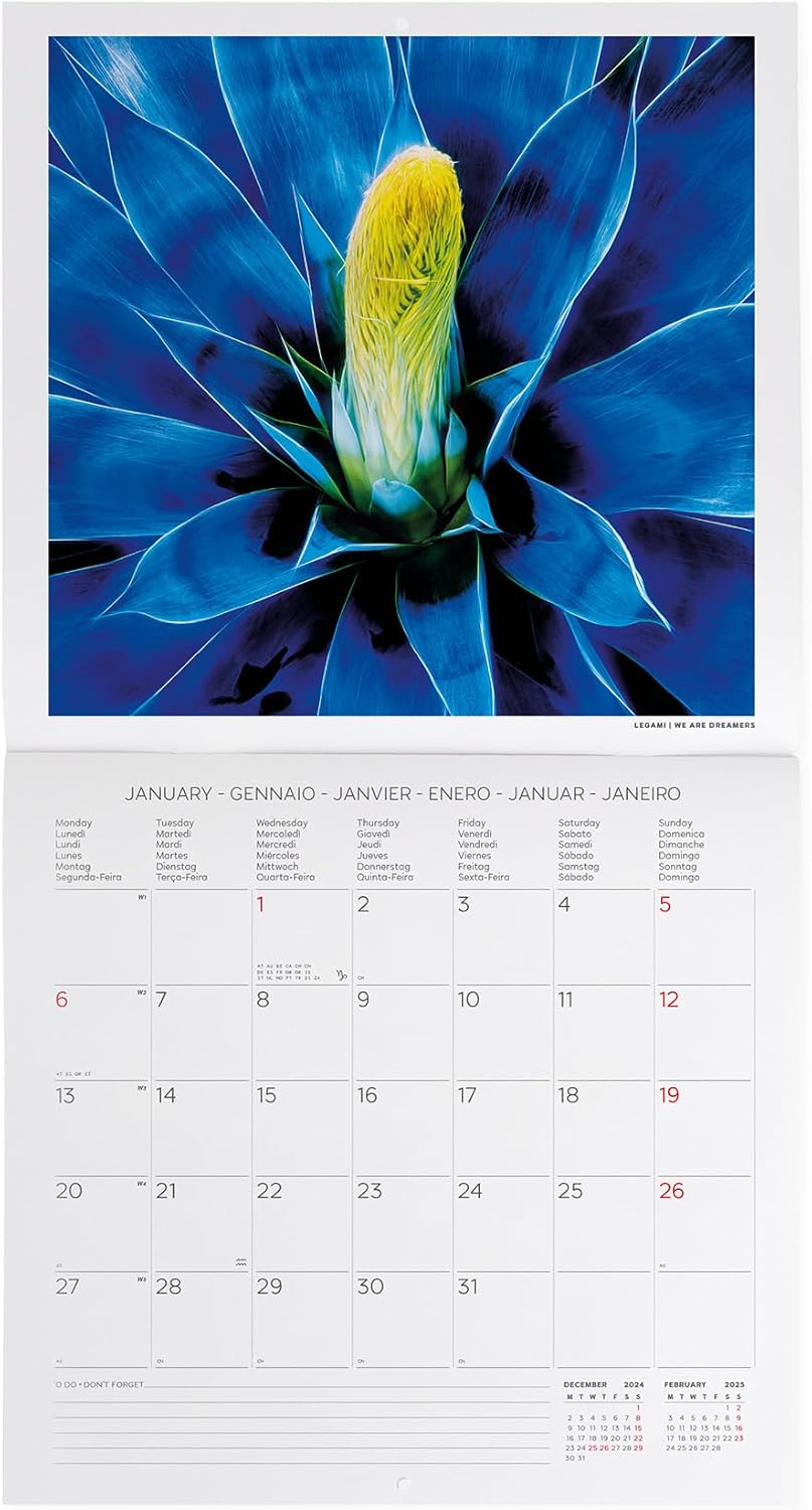 Calendar de perete 2025 - Succulents | Legami