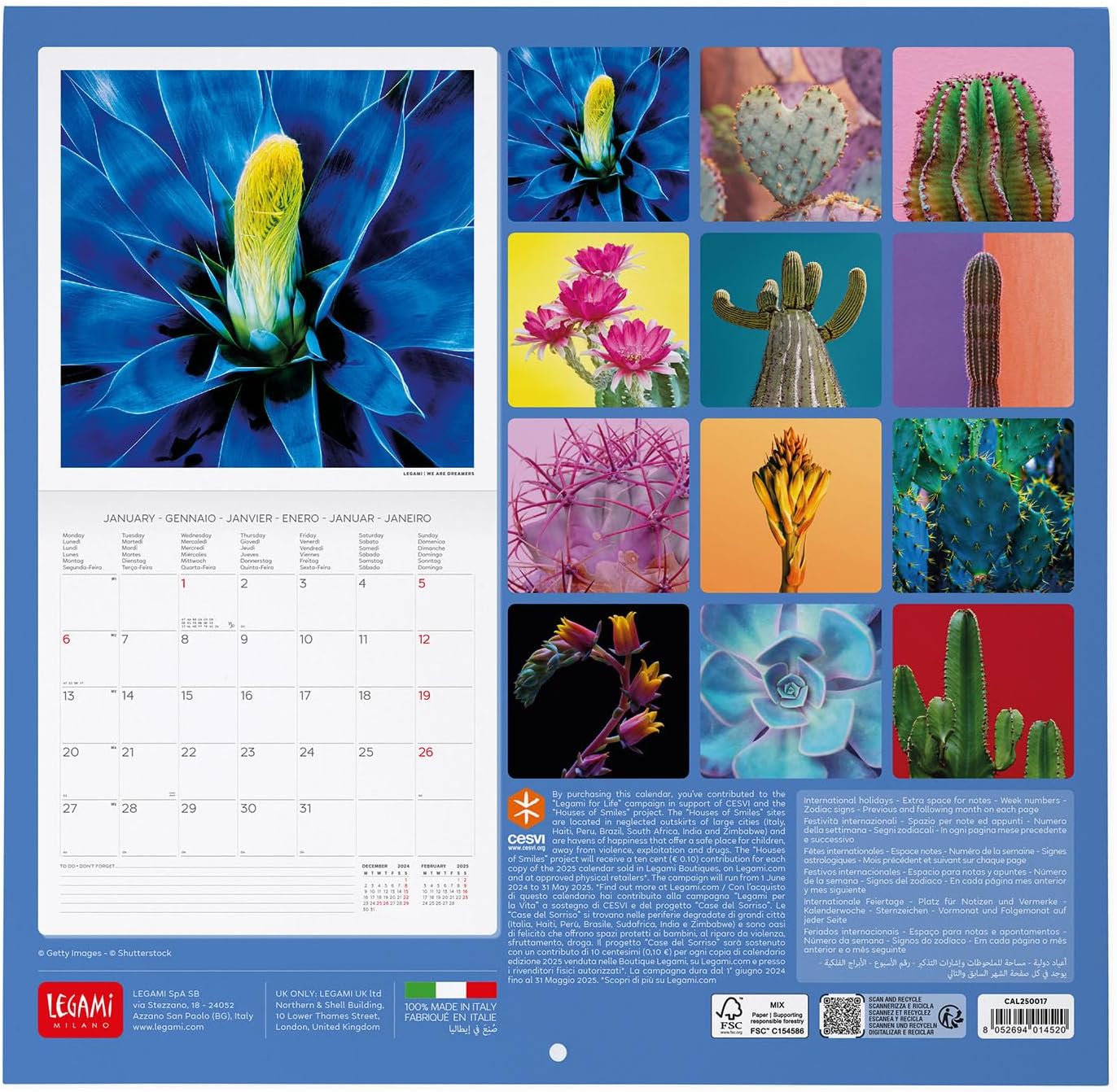 Calendar de perete 2025 - Succulents | Legami - 1 | YEO