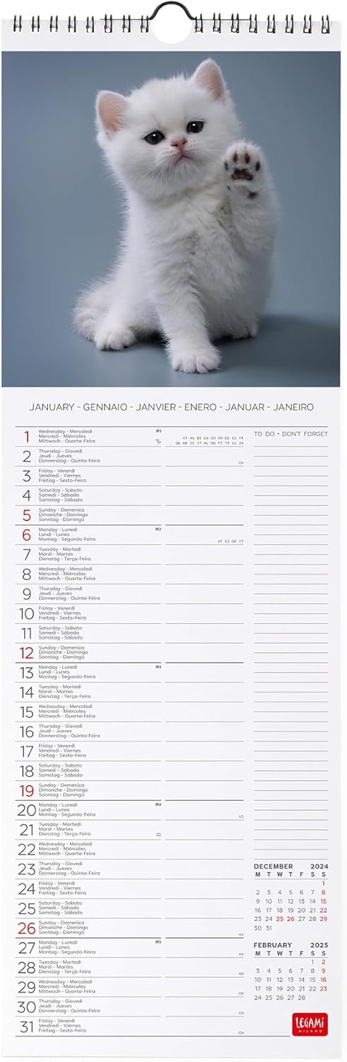 Calendar 2025 - Kittens | Legami