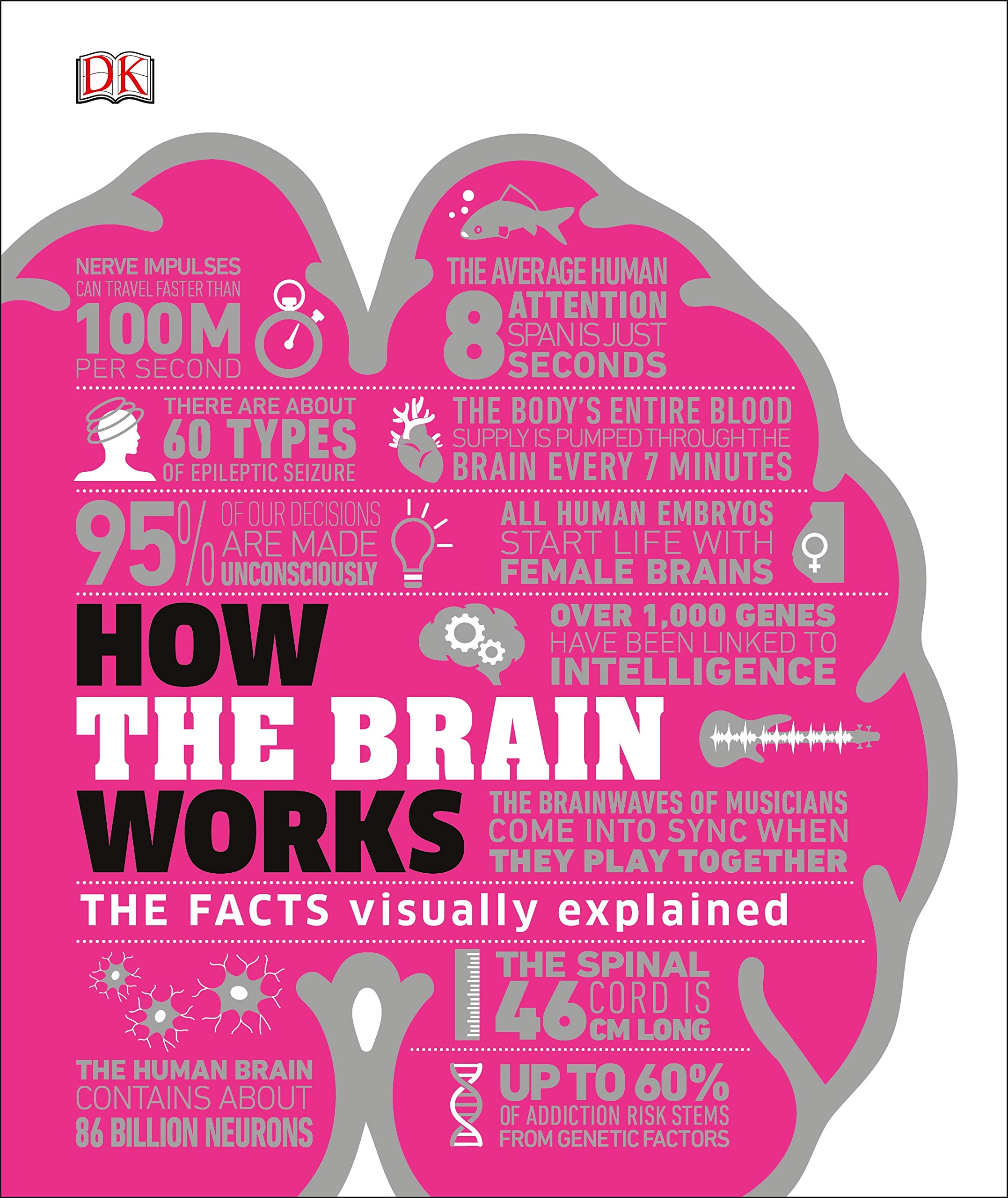 How the Brain Works |