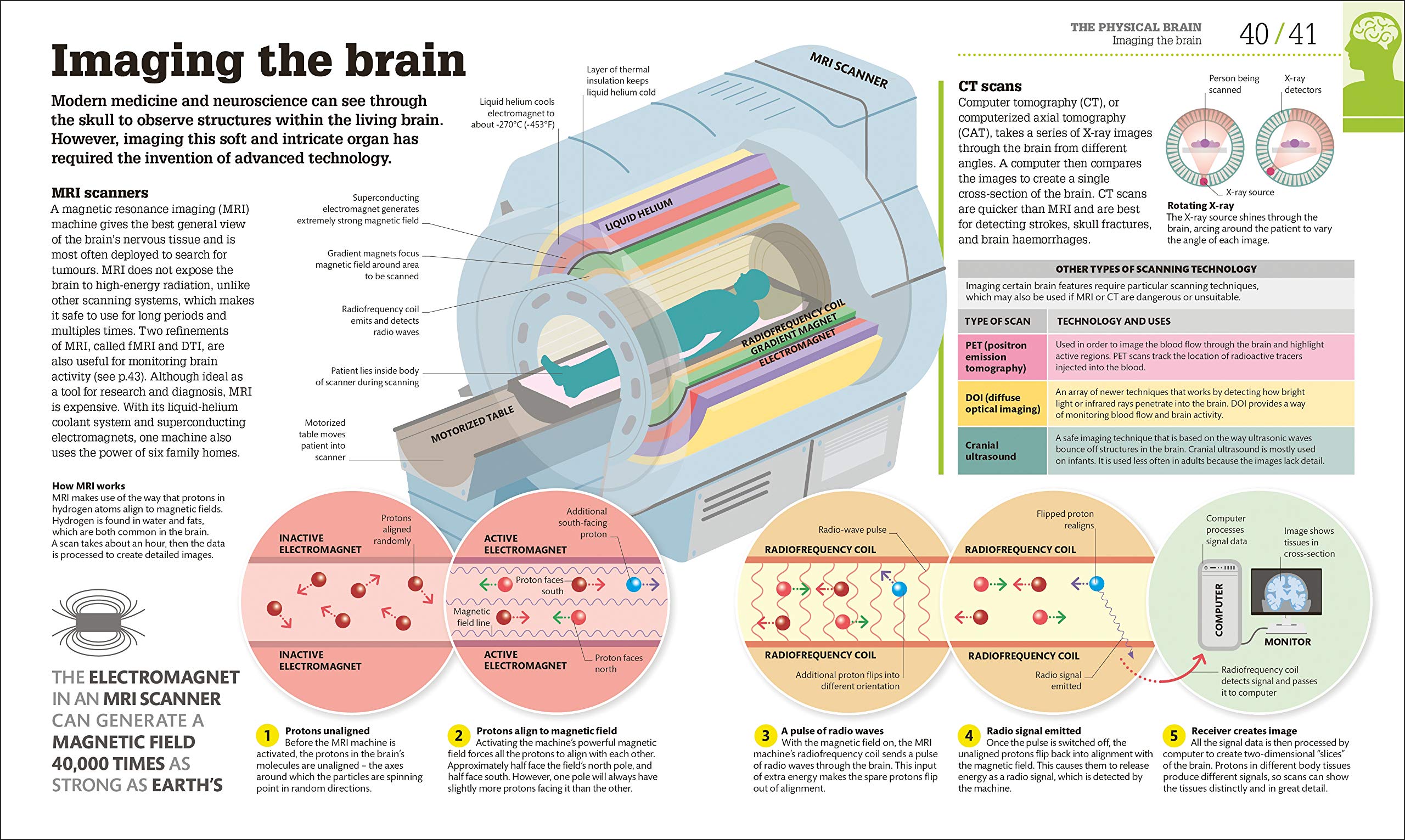 How the Brain Works | - 5 | YEO