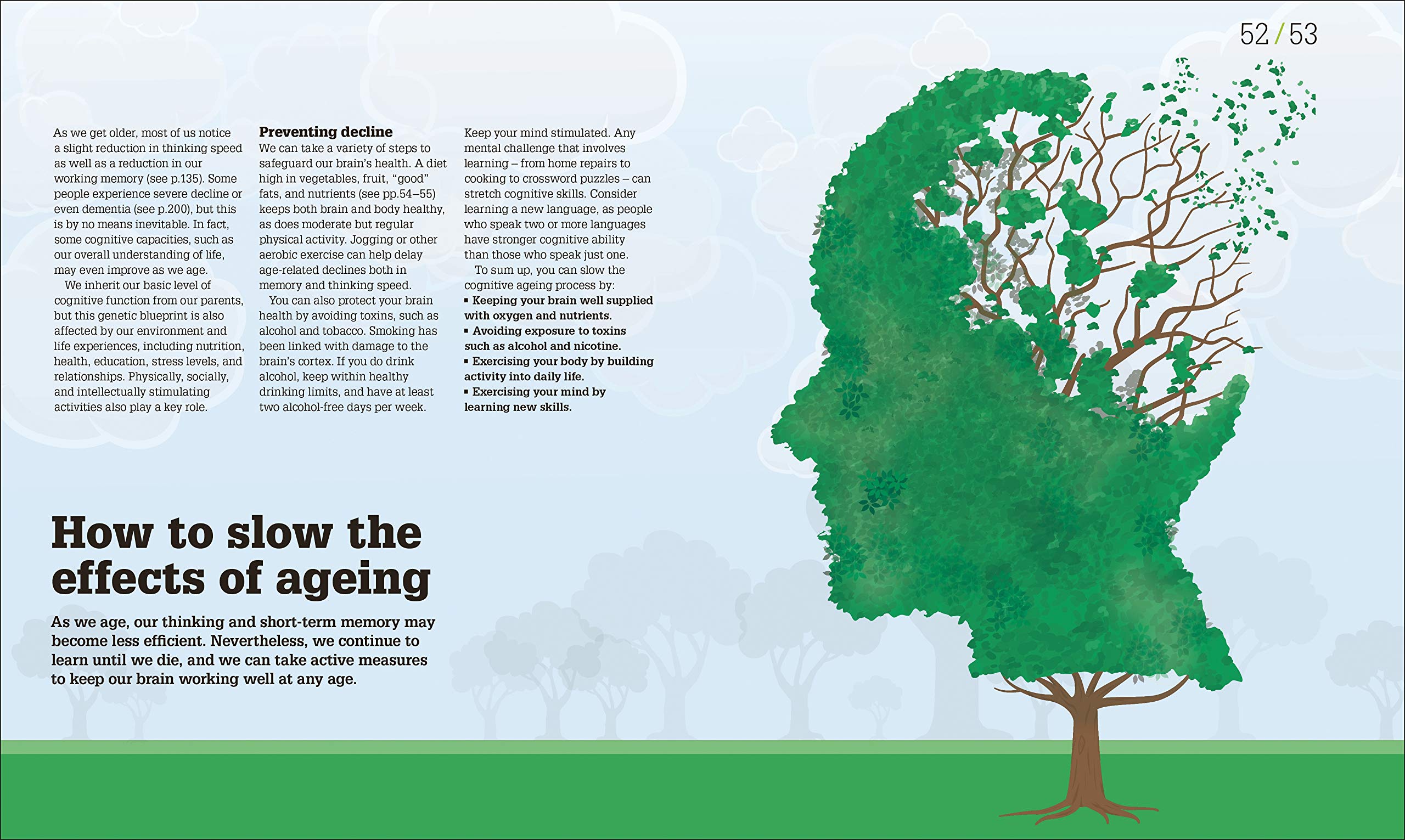 How the Brain Works | - 4 | YEO