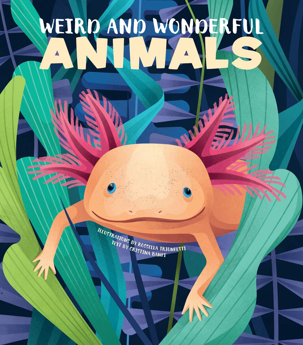 Weird and Wonderful Animals | Cristina Banfi