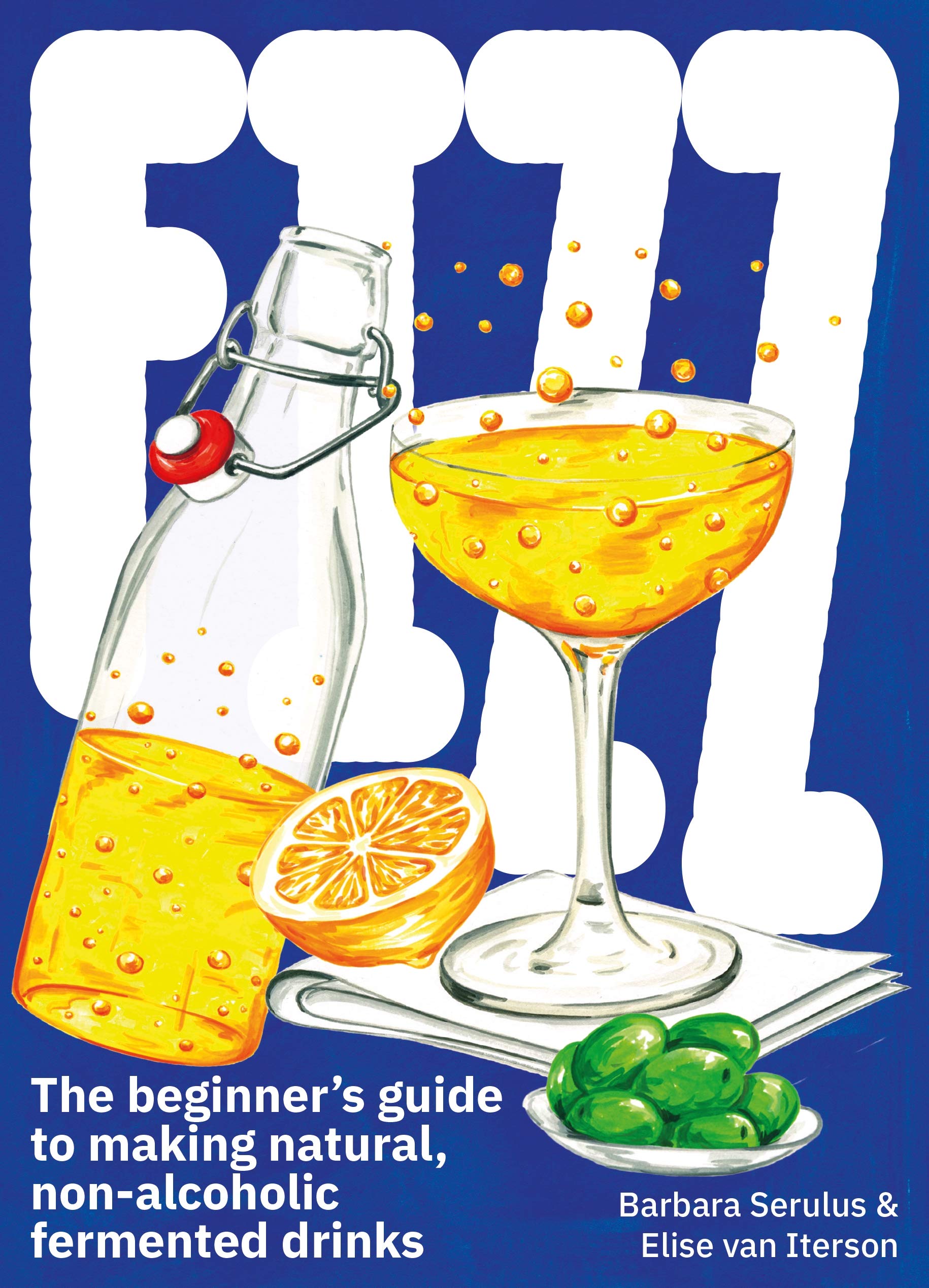FIZZ: The Beginners Guide to Making Natural, Non-Alcoholic Fermented Drinks | Barbara Serulus