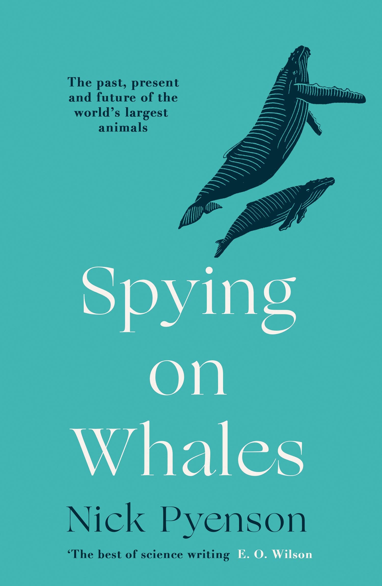Spying on Whales | Nick Pyenson