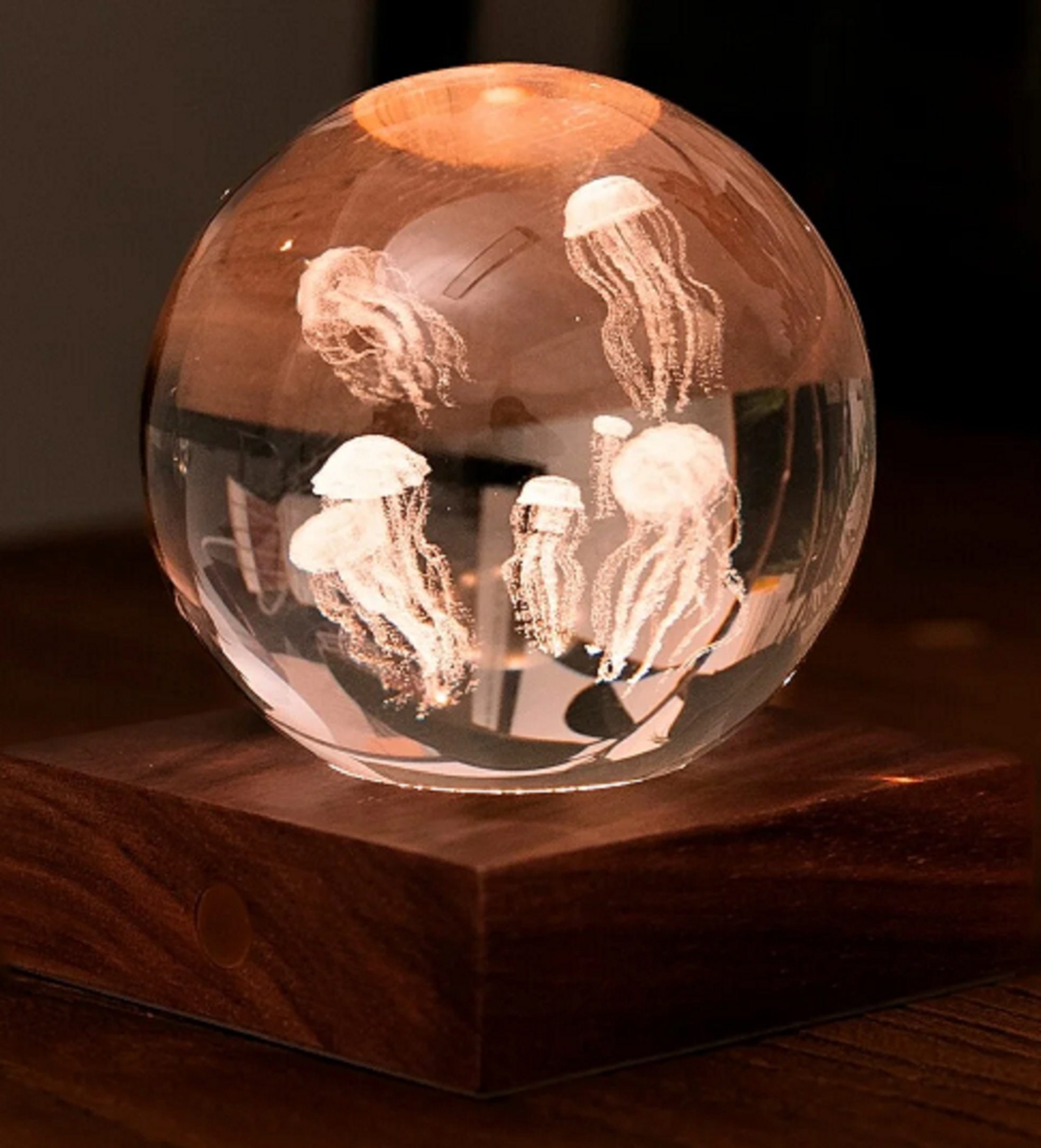 Lampa - Jellyfish | Ginko Design