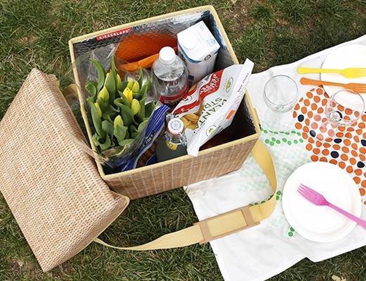 Geanta termoizolanta pentru picnic - Wicker Picnic Cooler Seat | Kikkerland - 1 | YEO