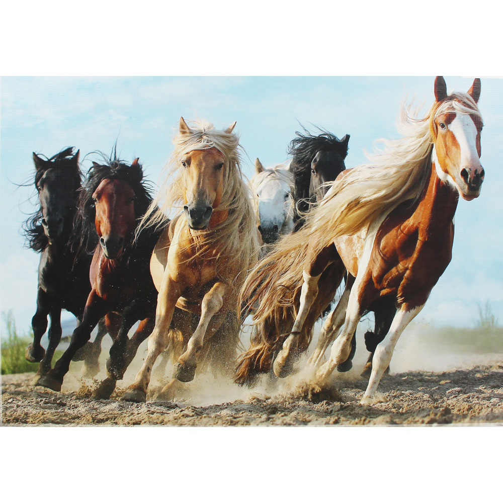 Puzzle 1000 piese - Cai la Galop | Trefl