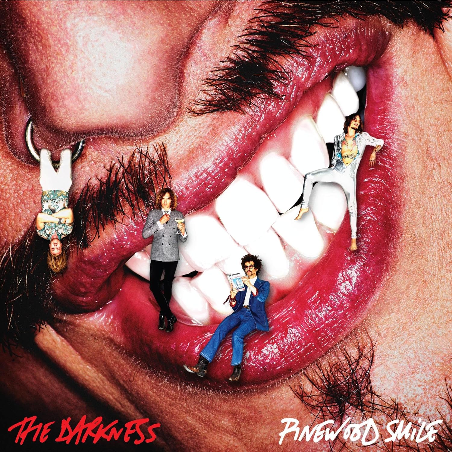 Pinewood Smile - Vinyl | The Darkness