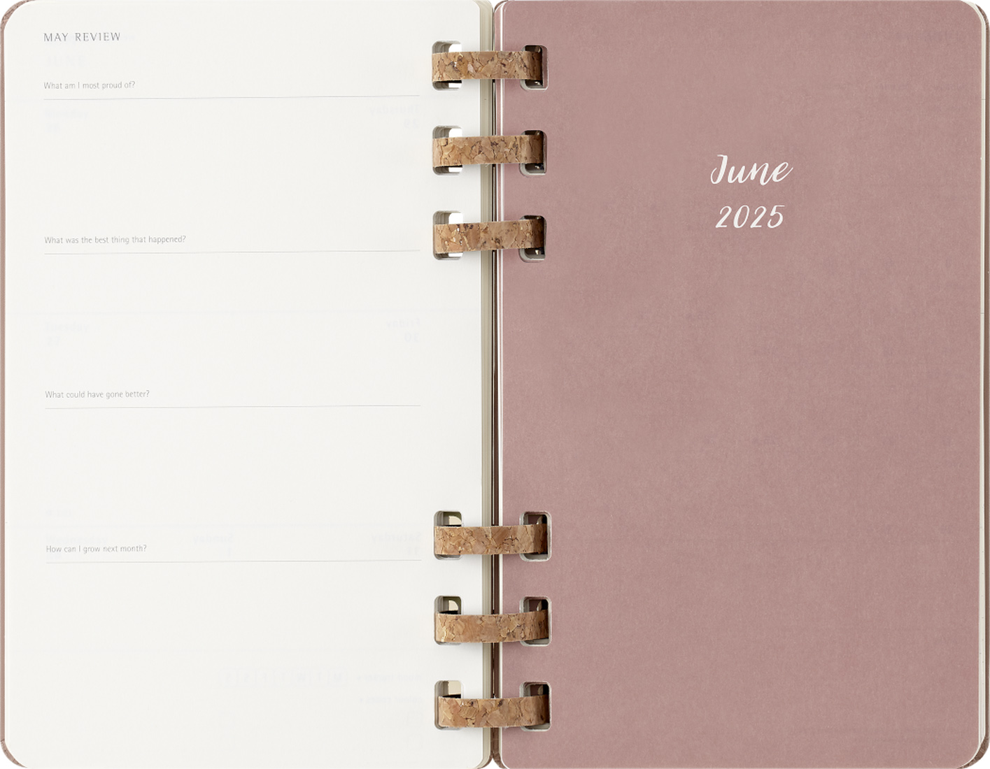 Agenda 2025 - Life Planner - 12-Month, Large, Spiral, Pink | Moleskine - 7 | YEO