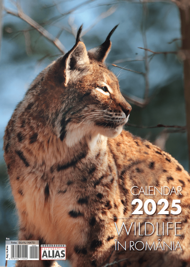 Calendar 2025 - Wildlife in Romania | Alias Publishing