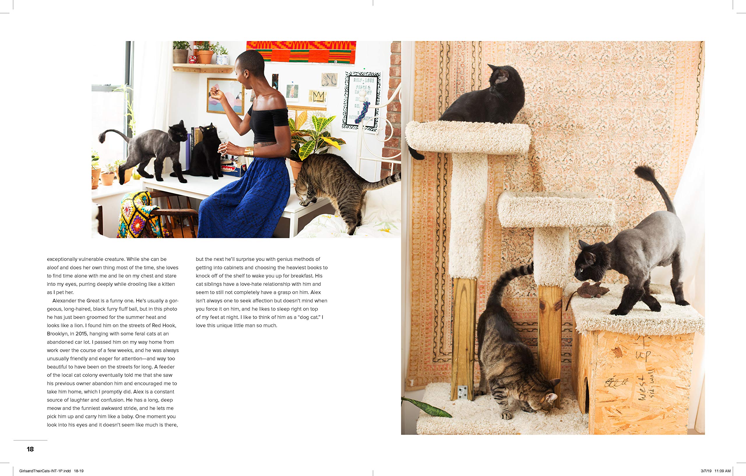 Girls and Their Cats | Brianne Wills - 3 | YEO