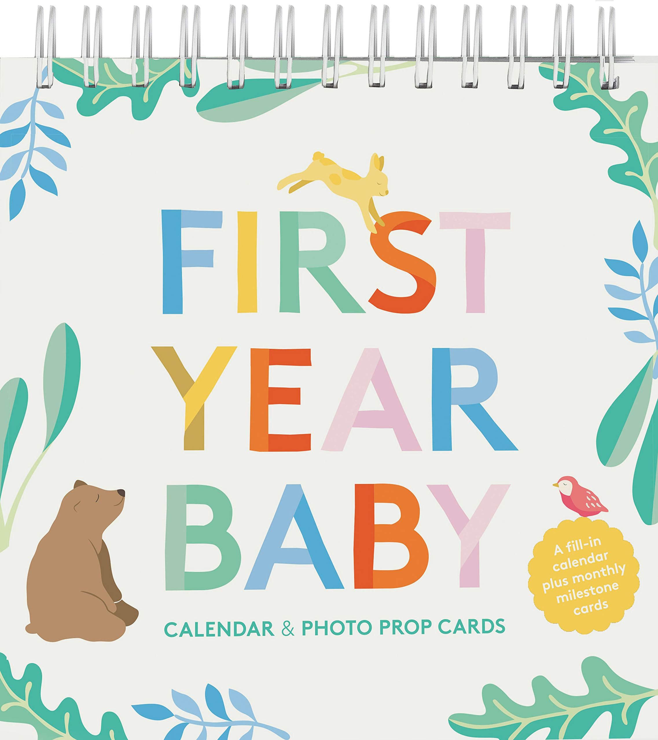 First Year Baby Calendar & Photo Prop Cards | Chronicle Books