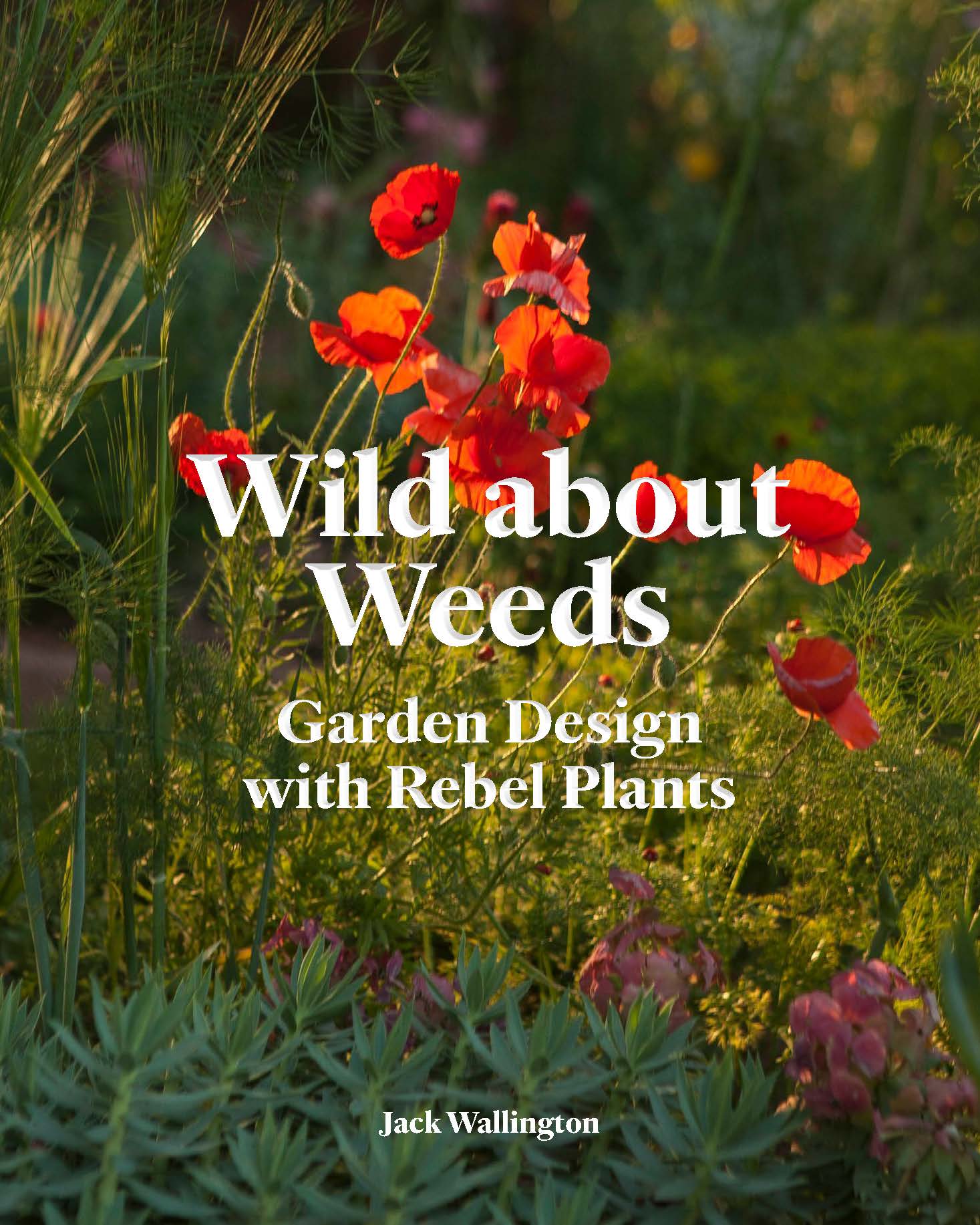 Wild about Weeds | Jack Wallington