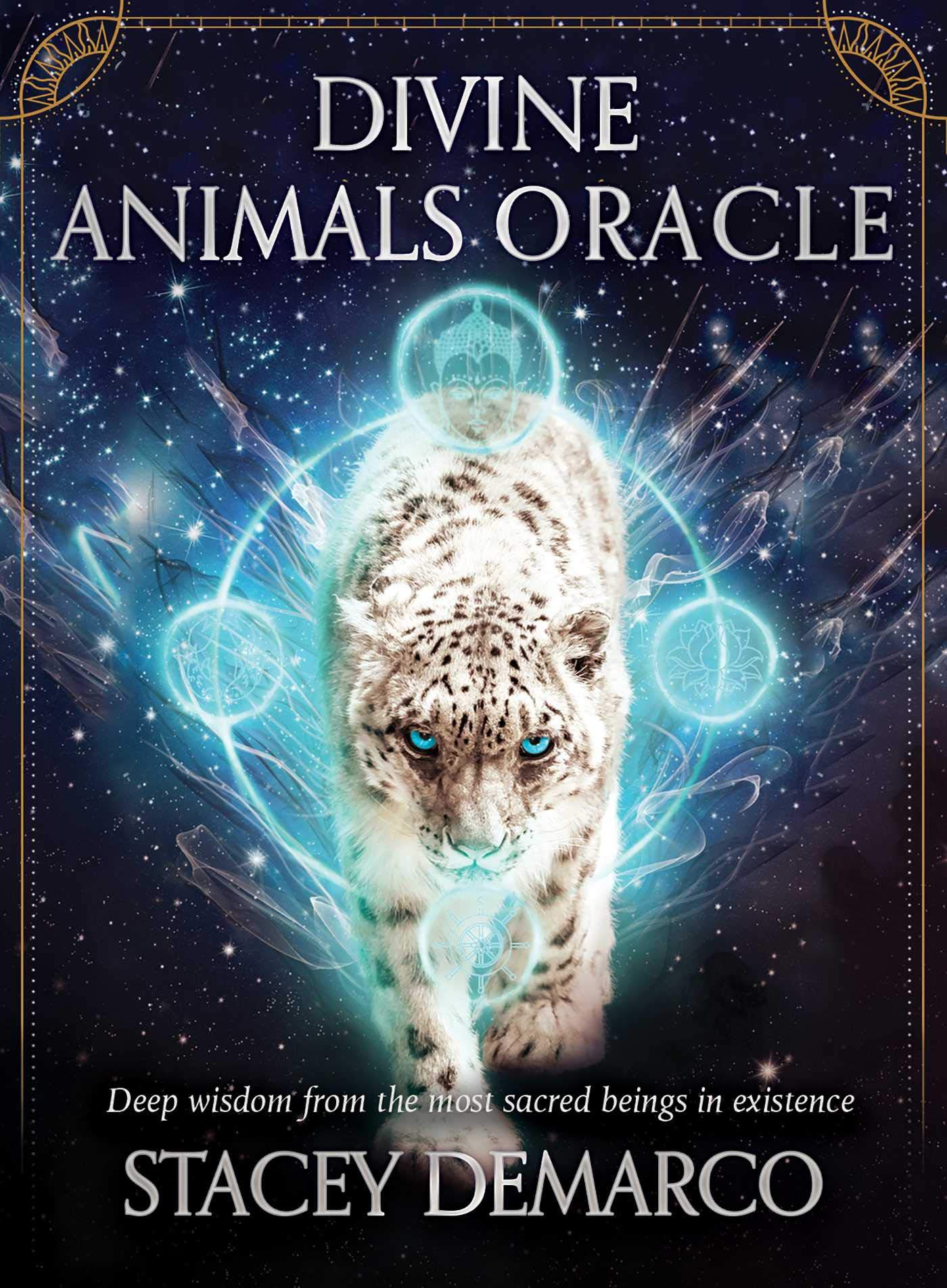 Divine Animals Oracle | Stacey Demarco