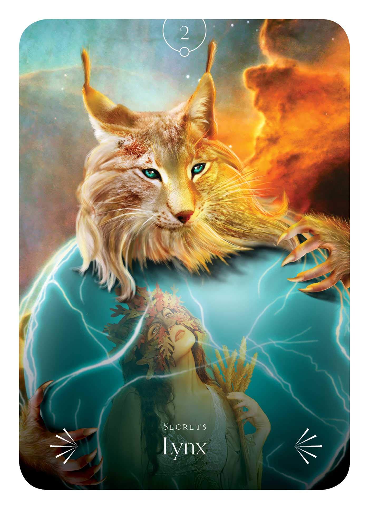 Divine Animals Oracle | Stacey Demarco - 1 | YEO