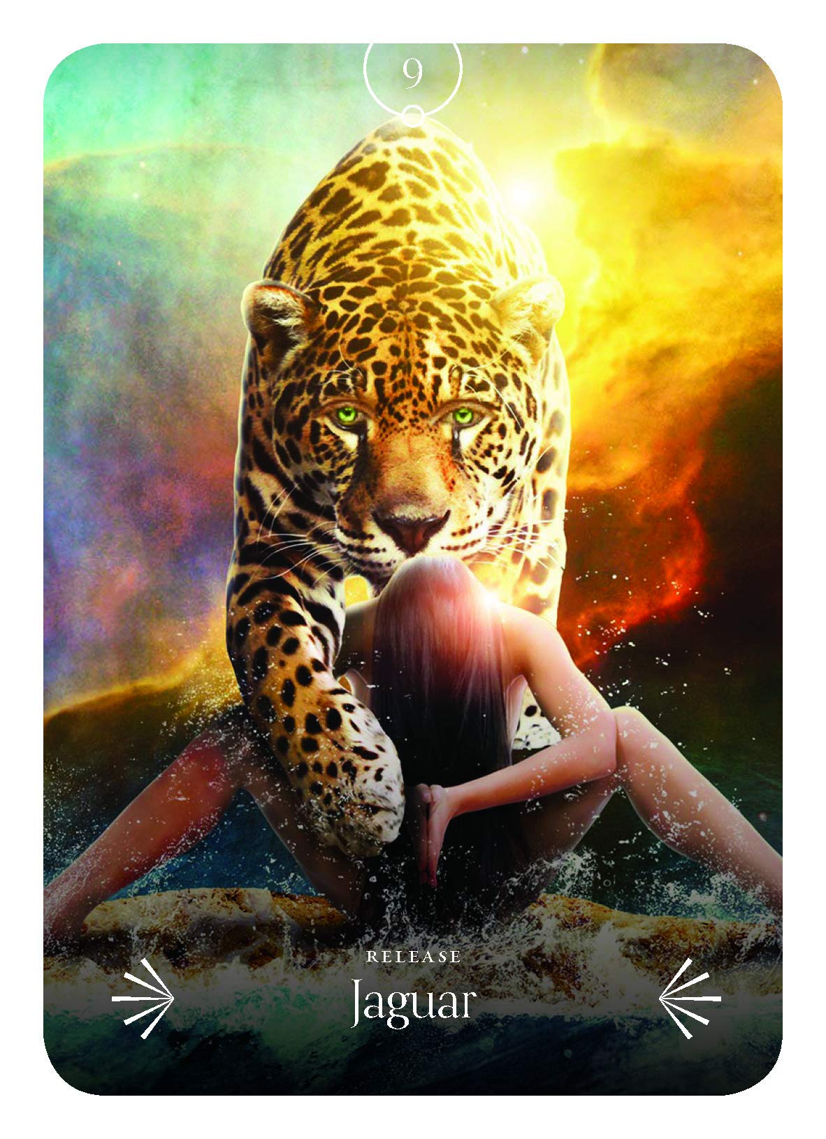 Divine Animals Oracle | Stacey Demarco - 4 | YEO