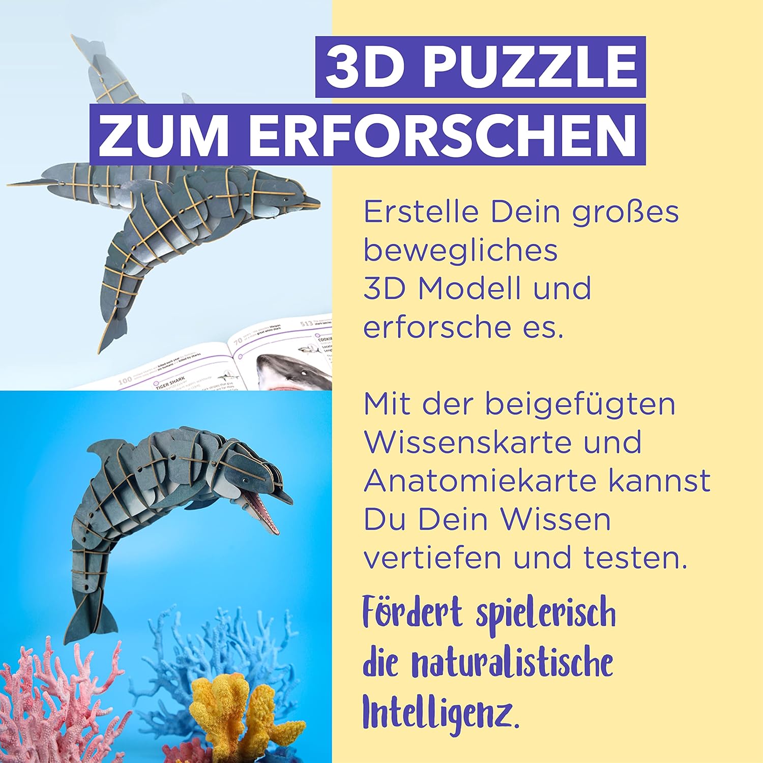 Puzzle 3D 83 piese - Delfin cu bot gros - Deluxe | MierEdu - 3 | YEO